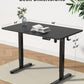 Height Adjustable Electric Standing Desk, 48 X 24 Inches Sit Stand up Desk, Memory Computer Home Office Desk (Black)