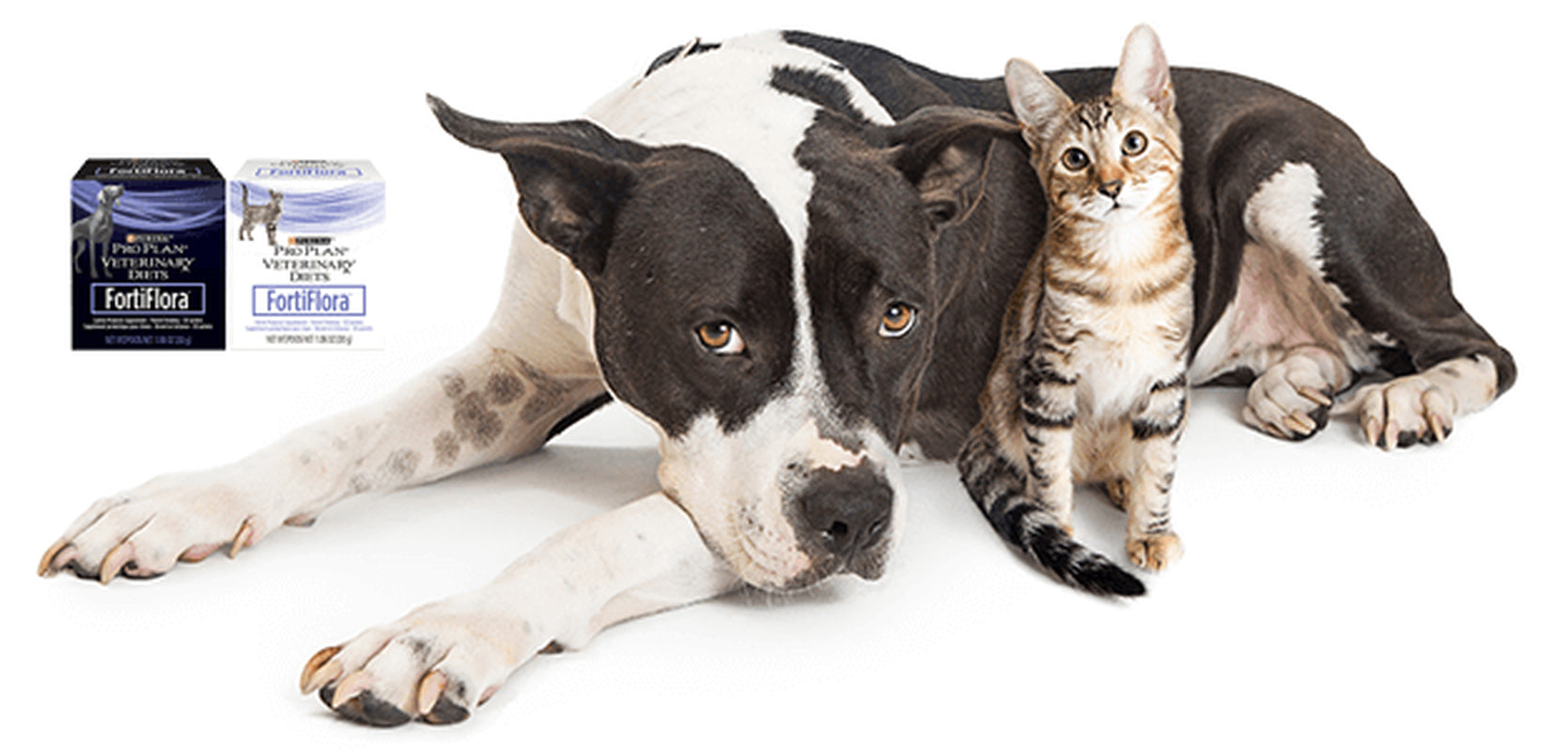 Fortiflora Probiotic Intestinal Supplement for Dogs by Purina - Available in 10, 30, or 60 Bag Options