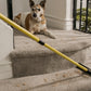 Broom Pet Hair Remover